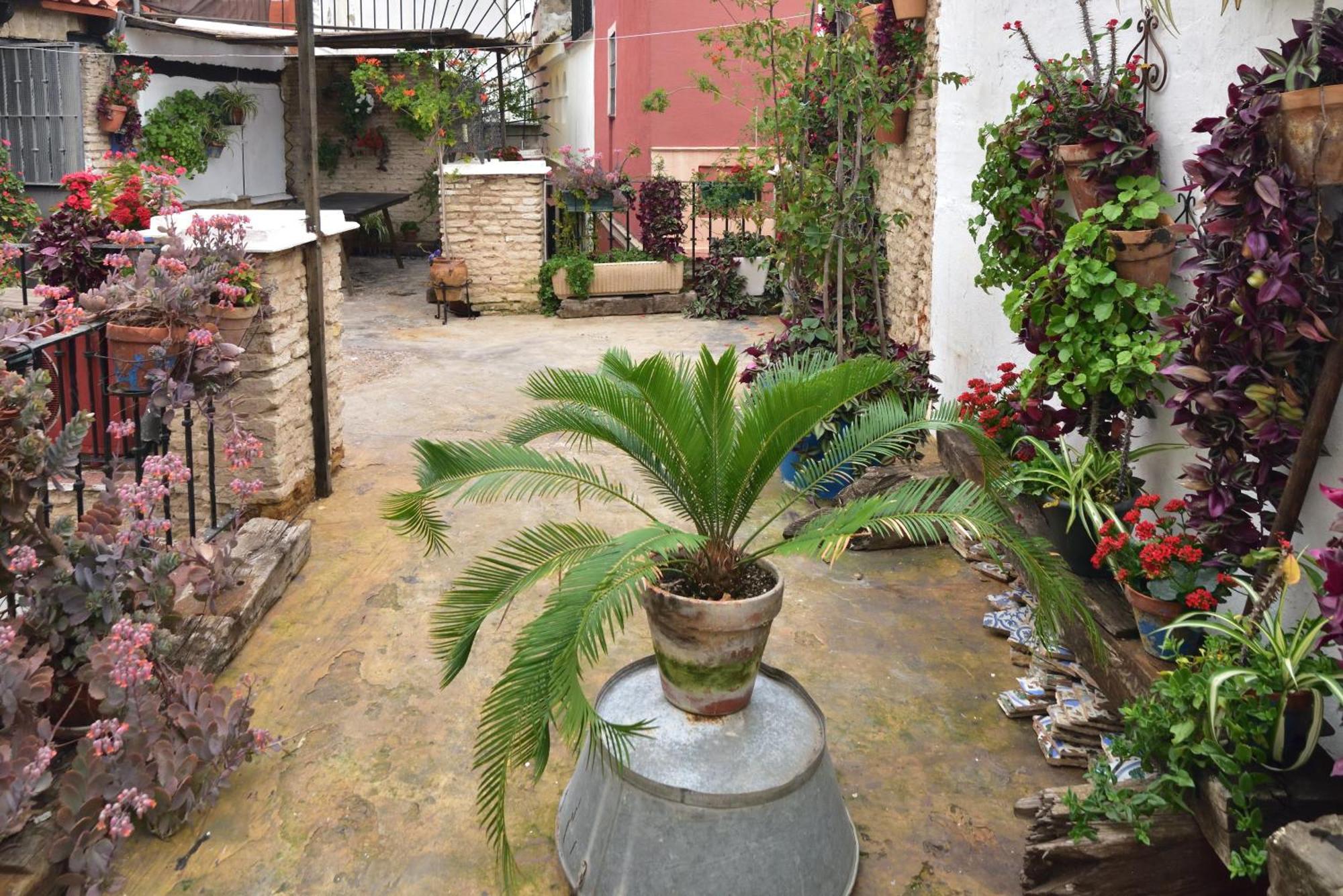Casa Tenorio Barrio De Santa Cruz Sevilla Exterior foto
